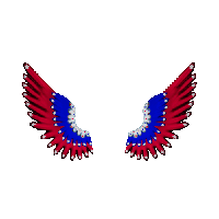 Badlion Product: America Wings