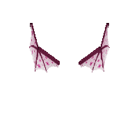 Badlion Product: Blossom Dragon Wings