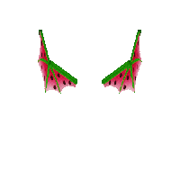 Badlion Product: Watermelon Dragon Wings