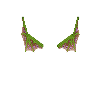 Badlion Product: Azalea Dragon Wings