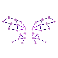 Badlion Product: Constellation Wings