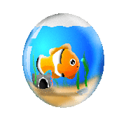 Badlion Product: Fishbowl Shield