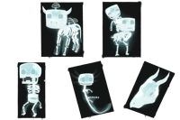 Badlion Product: Xray Spray Set