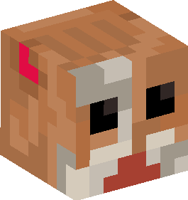 Minecraft Skin