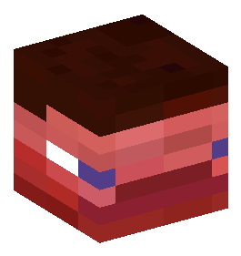 ausm
