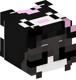 Minecraft Skin