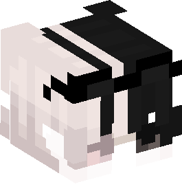 Minecraft Skin