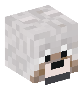 Minecraft Skin