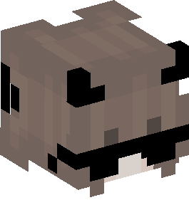 Minecraft Skin