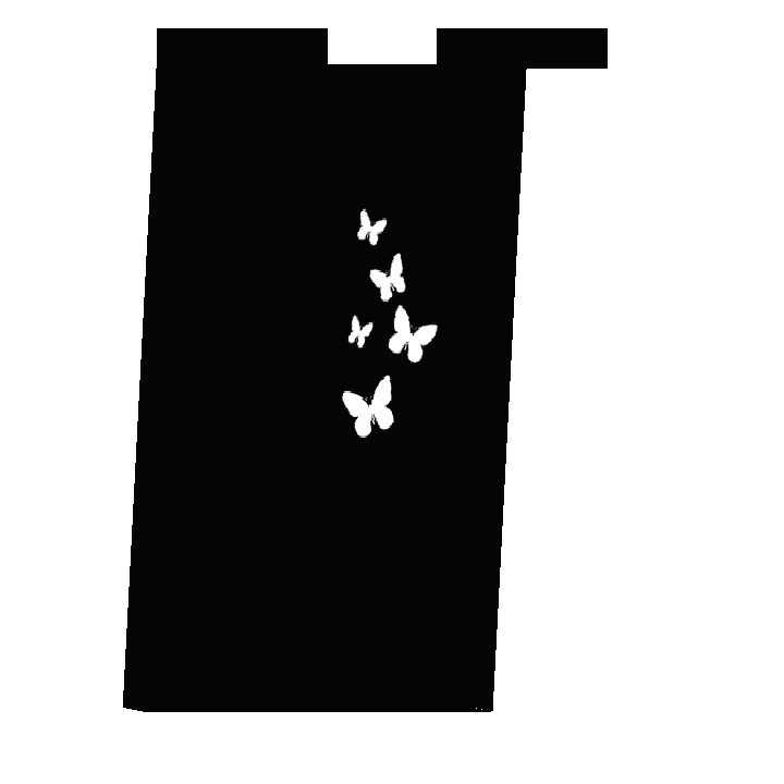 Badlion Product: Sayanz Butterflies Cloak